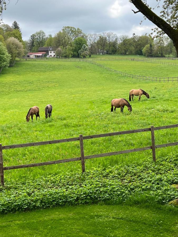 Herrenhaus - Starnberger See - Ammerland Münsing Zewnętrze zdjęcie