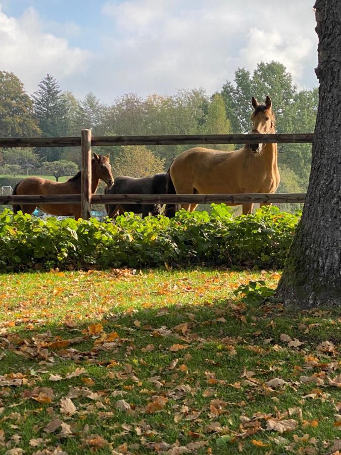 Herrenhaus - Starnberger See - Ammerland Münsing Zewnętrze zdjęcie