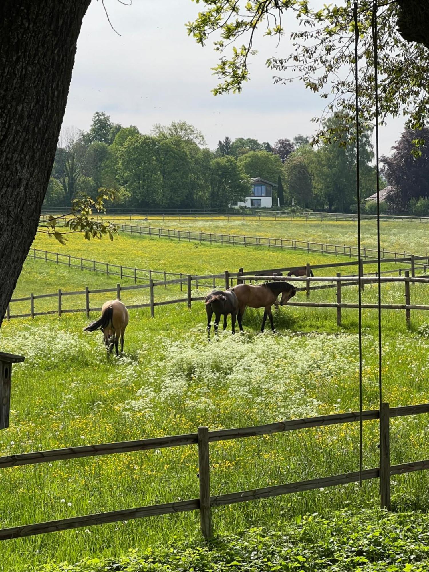 Herrenhaus - Starnberger See - Ammerland Münsing Zewnętrze zdjęcie