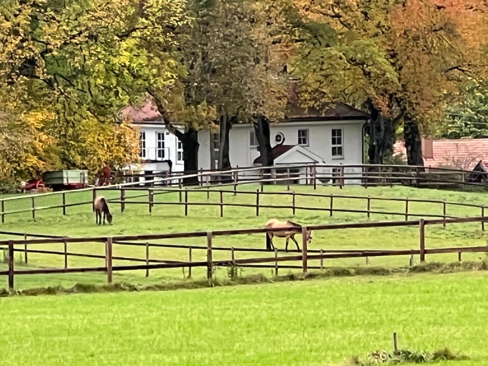 Herrenhaus - Starnberger See - Ammerland Münsing Zewnętrze zdjęcie