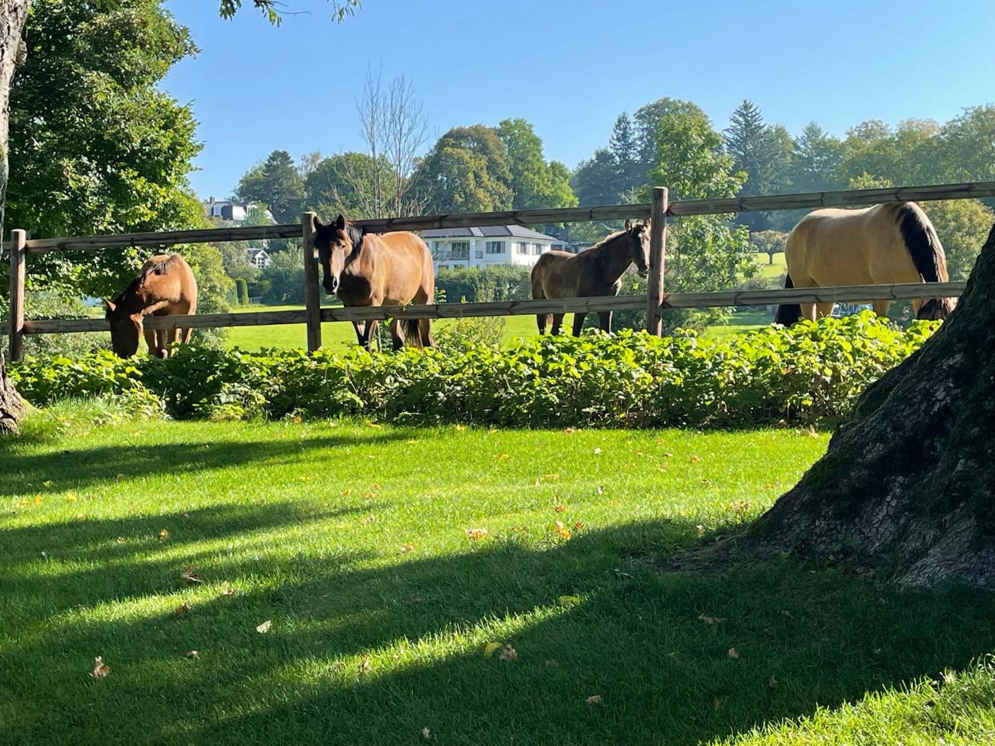 Herrenhaus - Starnberger See - Ammerland Münsing Zewnętrze zdjęcie